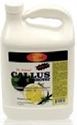 Picture of SpaRedi  C01S-08510.1 SpaRedi Callus Remover Lemon & Lime 1 gallon