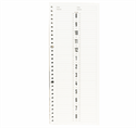 Picture of Berkeley Beauty - AB222R 2-Column 200-Page Refill for Leather Appointment Book