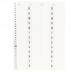 Picture of Berkeley Beauty - AB224R 4-Column 200-Page Refill for Leather Appointment Book