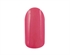 Picture of Gel II 0.47 oz - G070 Pink Of Persia