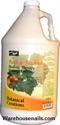 Picture of ProNail Lotion - 01303 Peach & Patchouli Lotion 1 Gallon