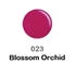 Picture of DND DC Gel Duo 023 - Blossom Orchid